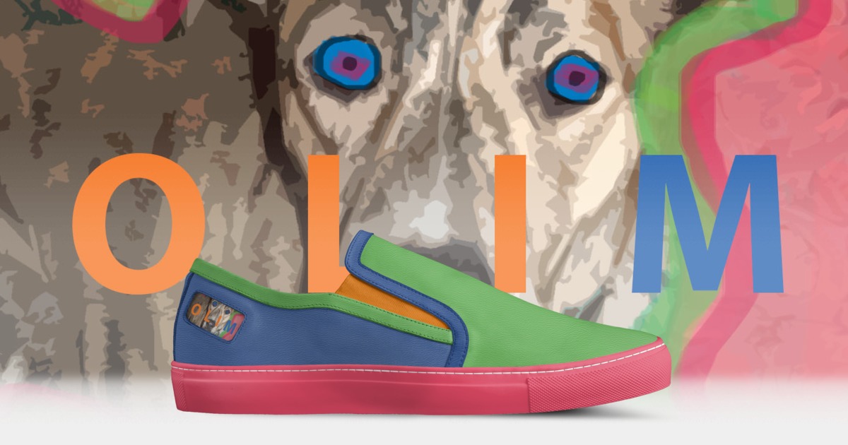 gucci dog shoes