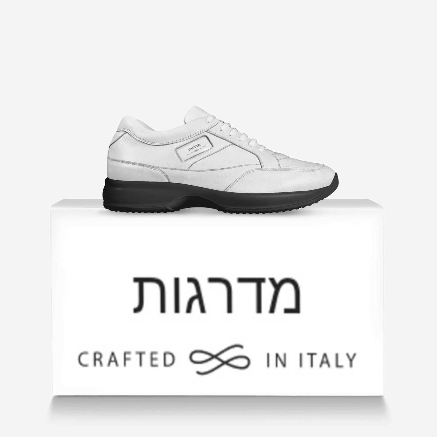 STEPS custom made in Italy shoes by Wayne Riddick Jr | Over box view