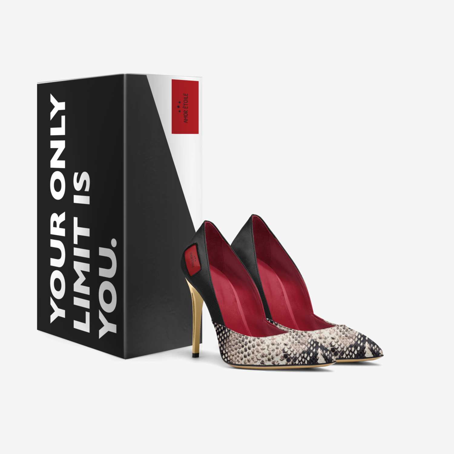 amor ètoile  custom made in Italy shoes by Starkedra Hamlin | Box view