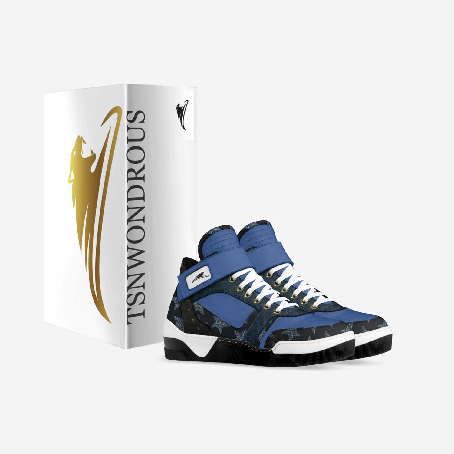 T350 custom made in Italy shoes by Tamba Nyuma | Box view