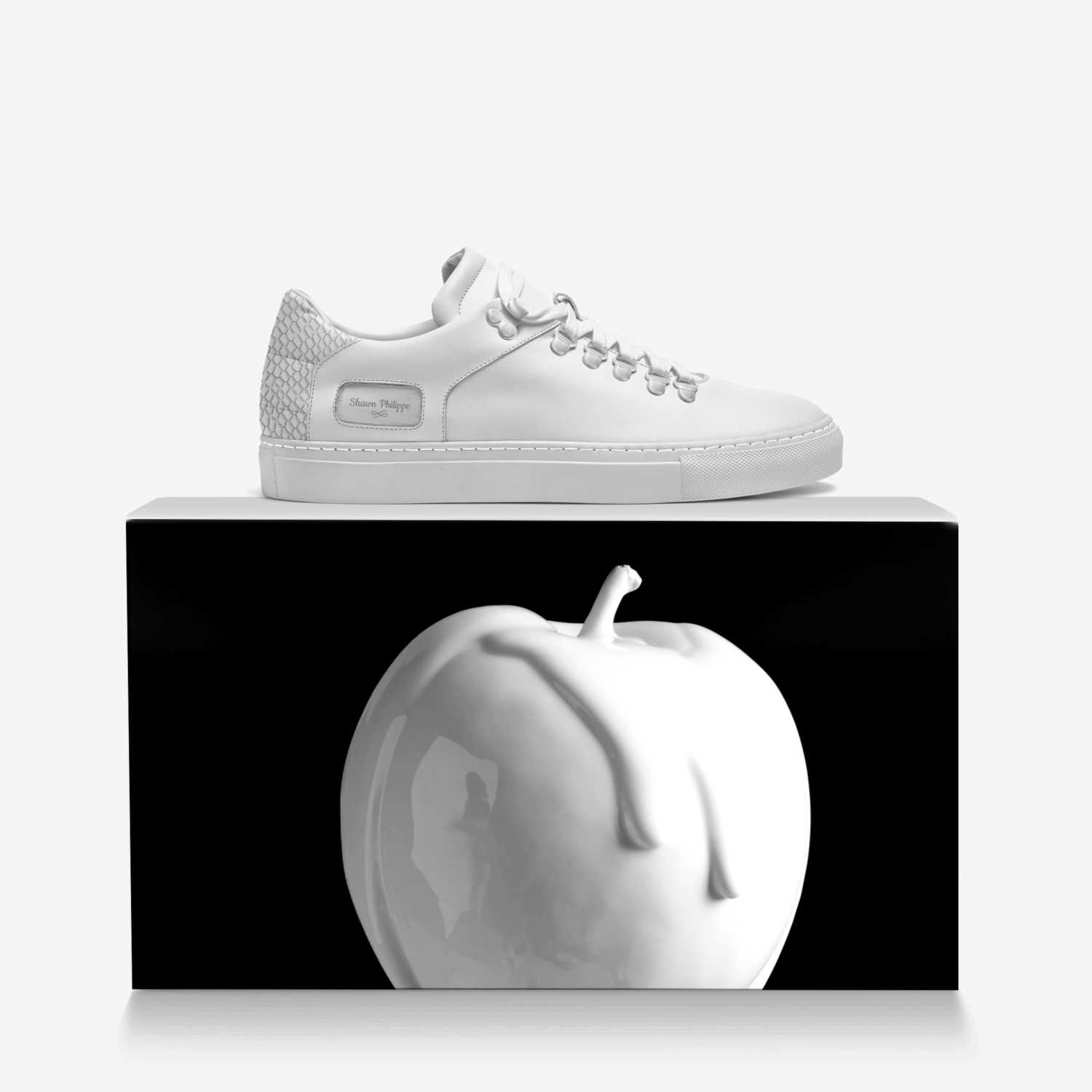 Shawn Philippe custom made in Italy shoes by S. Hobbs | Over box view