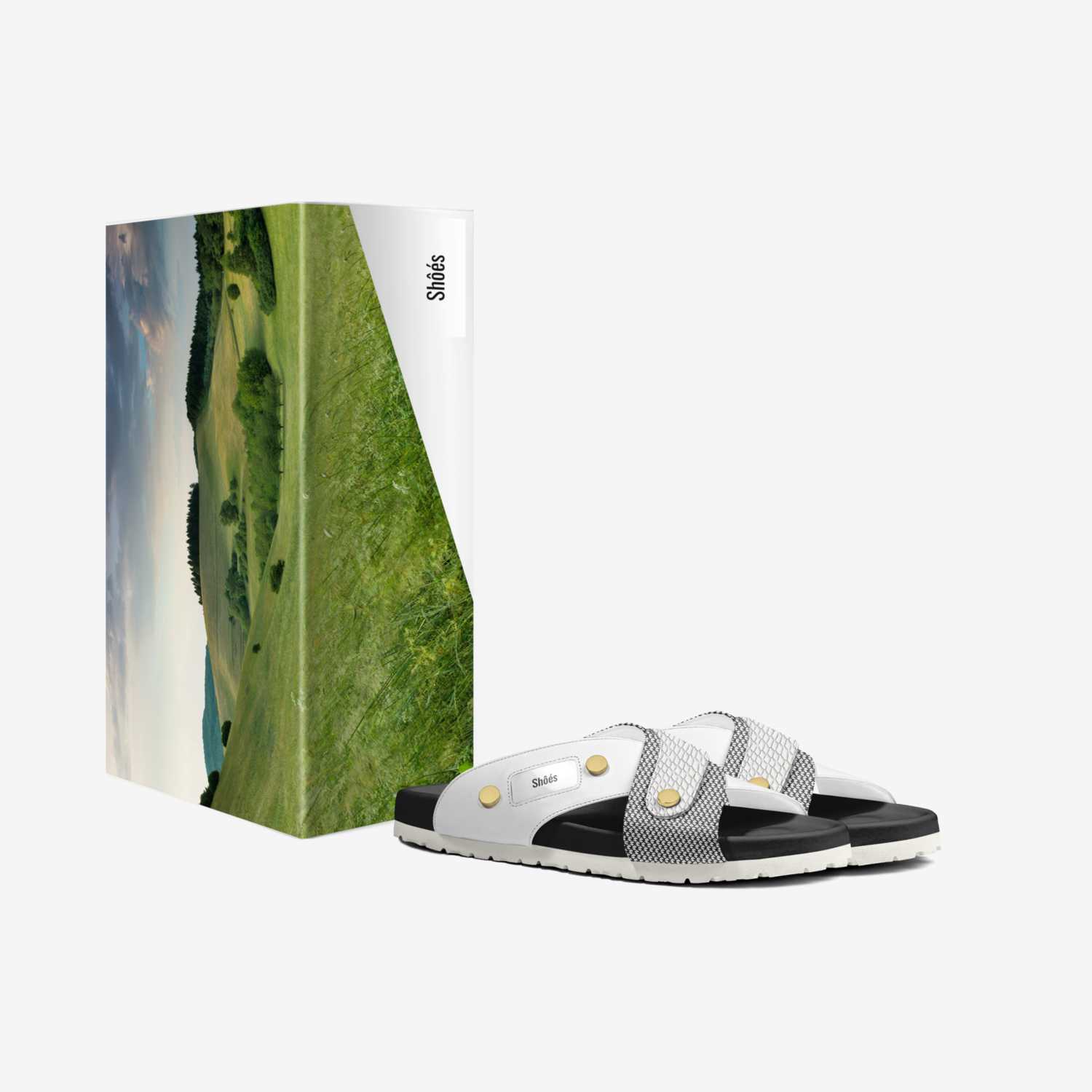 Shôés | A Custom Shoe concept by Marci Thompson