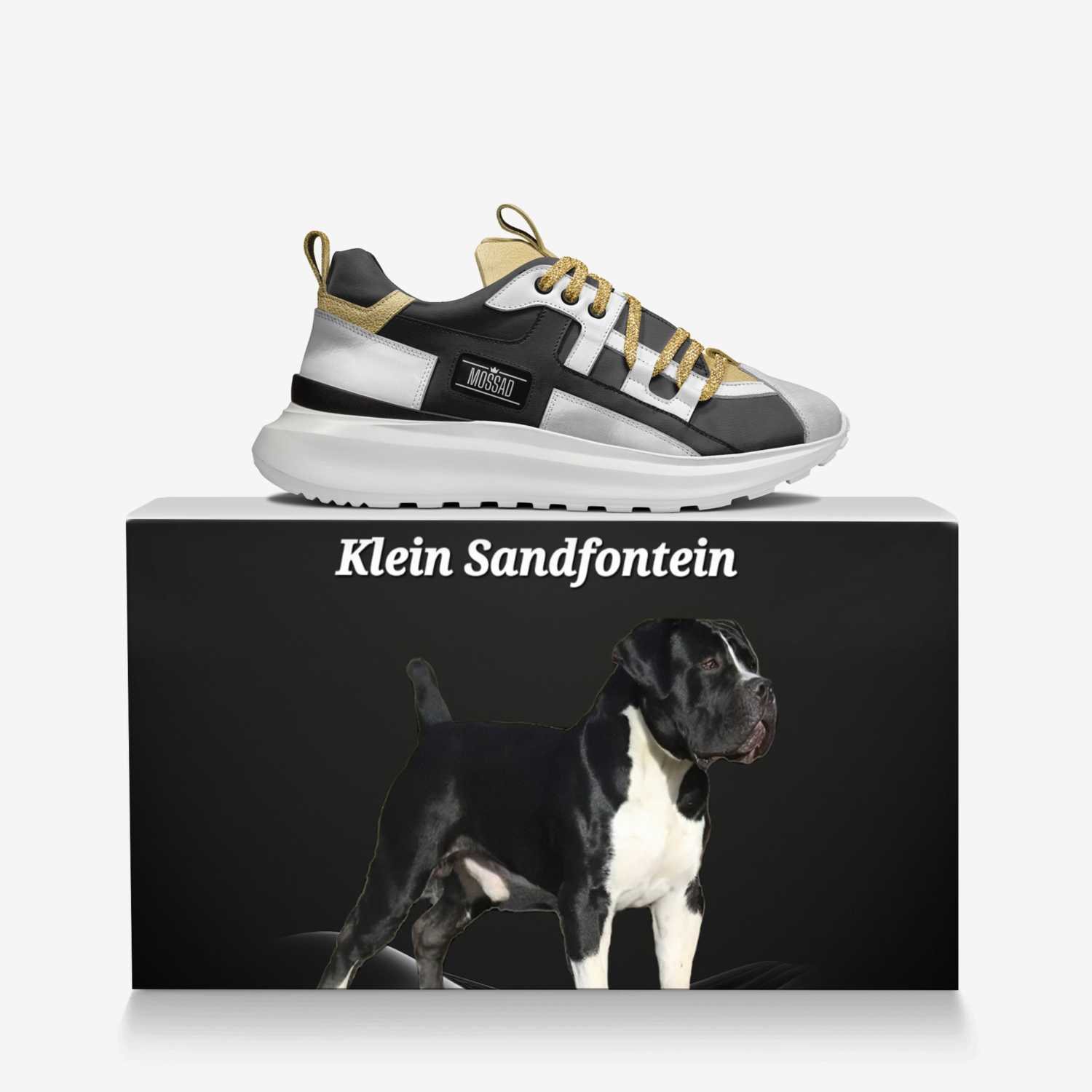 MOSSAD custom made in Italy shoes by Jay Rock | Over box view