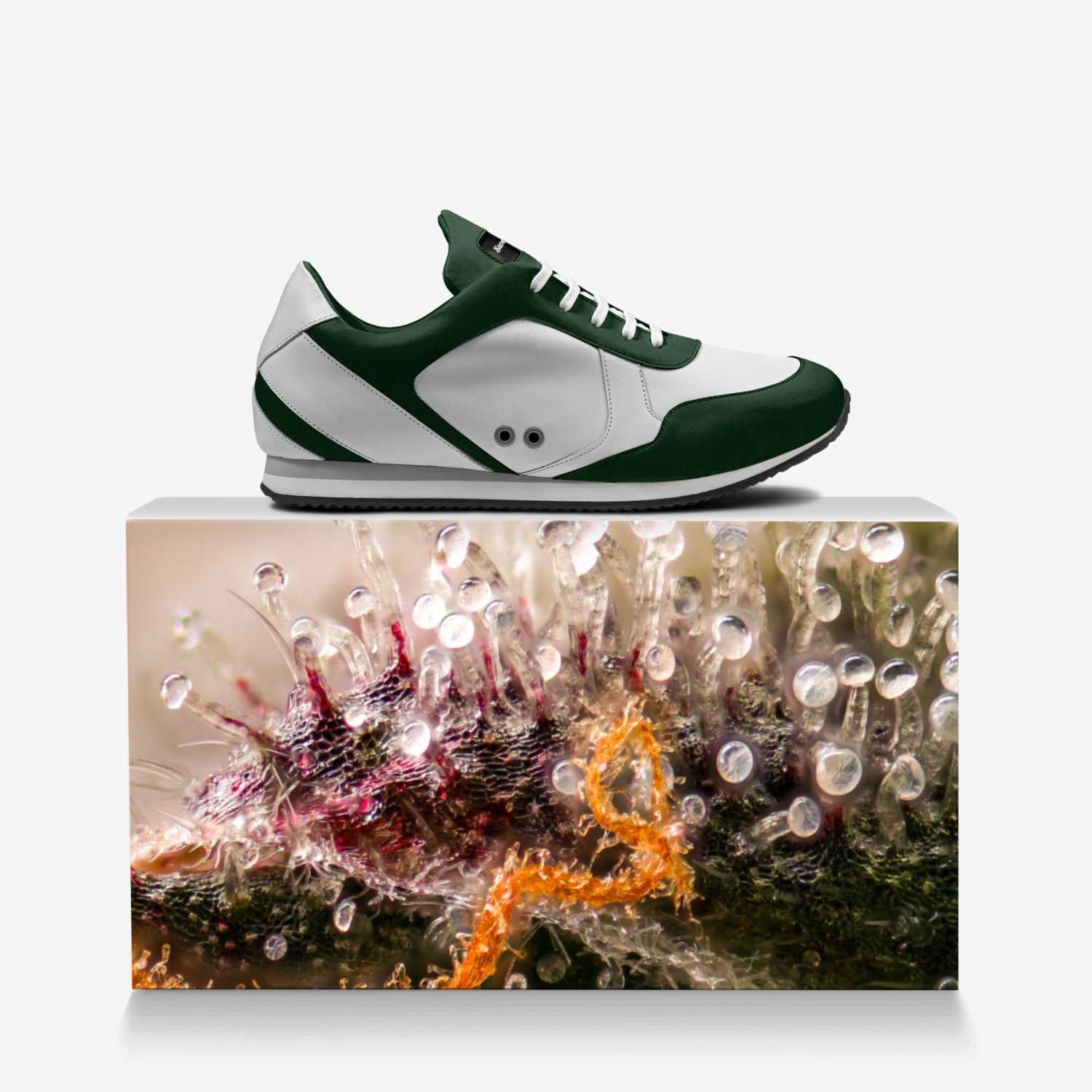 Sweet Terpenes custom made in Italy shoes by Heather Stanley | Over box view