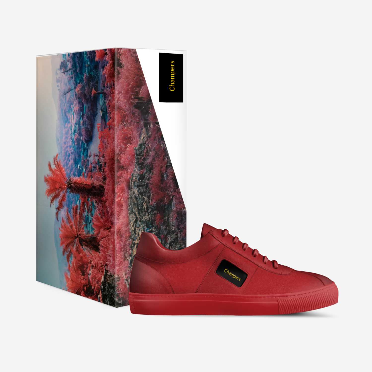Champers custom made in Italy shoes by Cj Johnson | Box view
