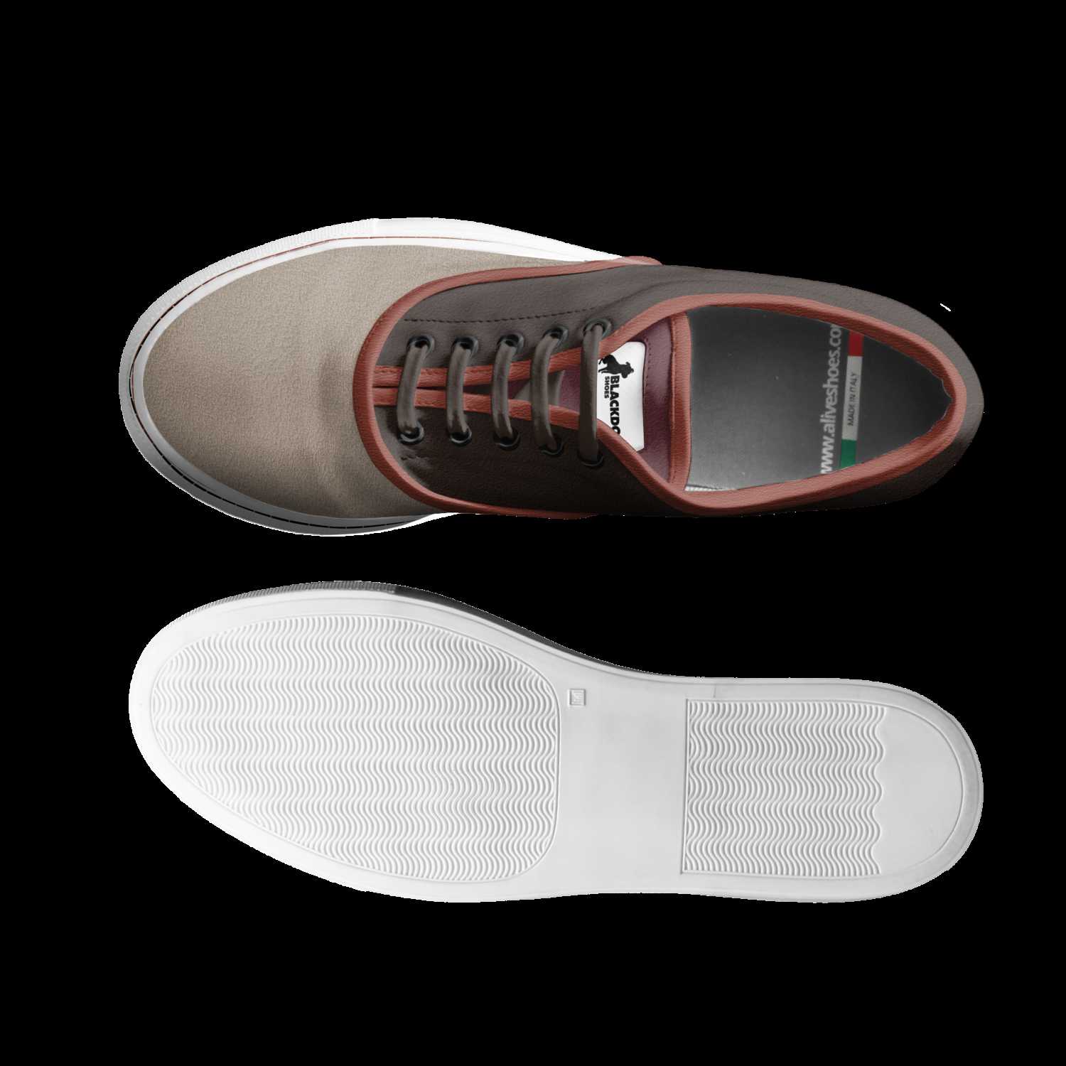 Chocolate lab shoes store