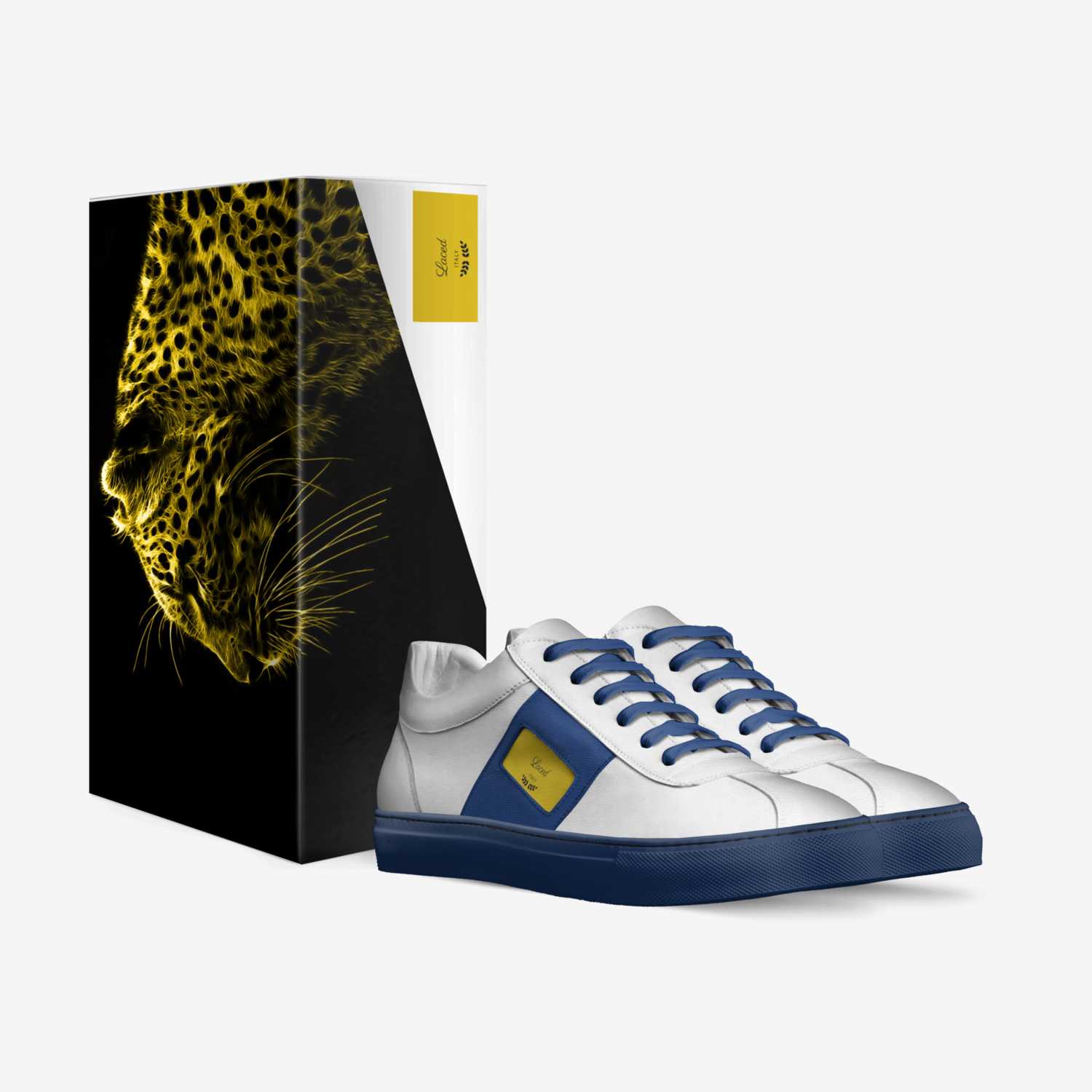 Leced custom made in Italy shoes by Rashi | Box view