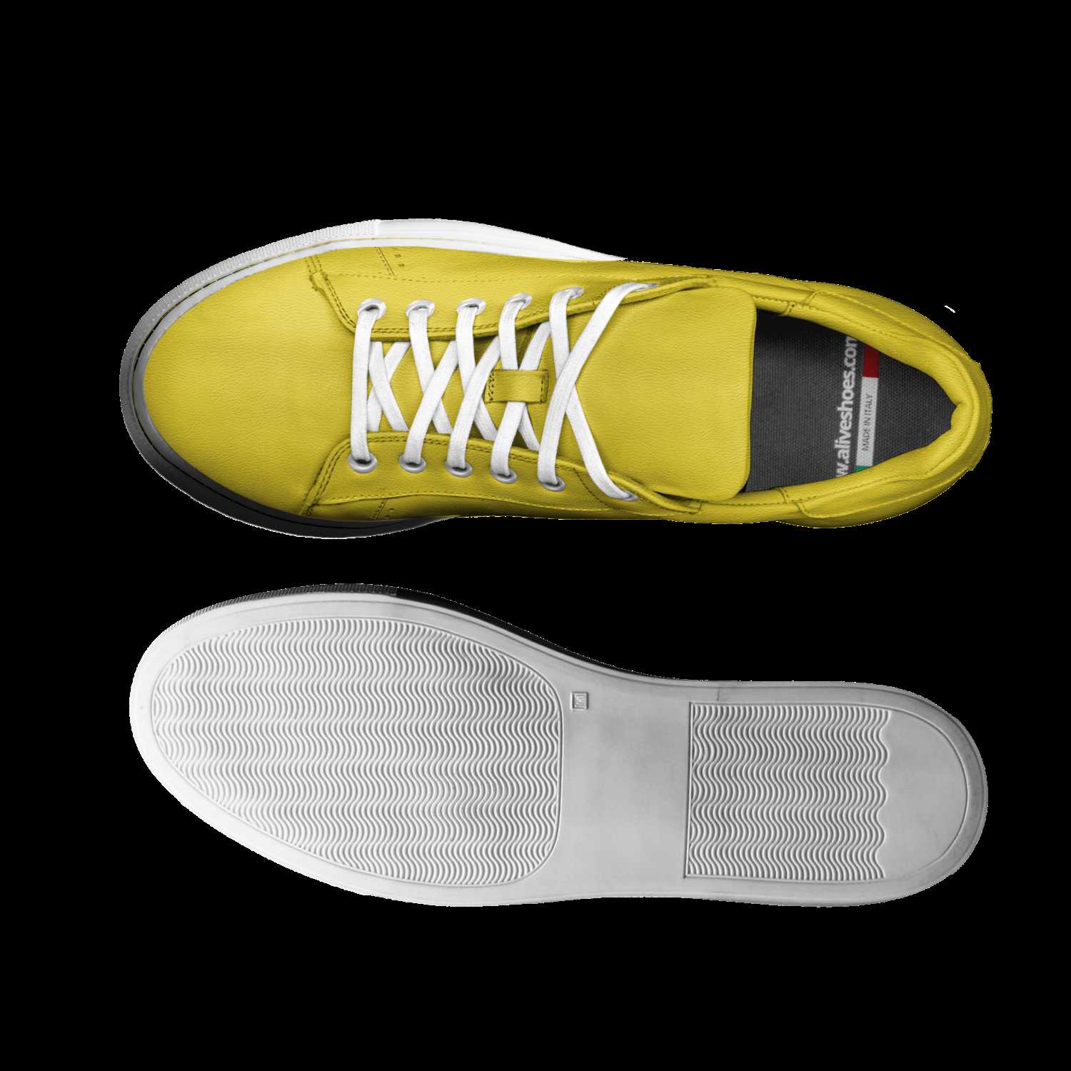 Yellow lab shop shoes