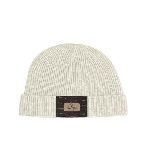 CAP V1
