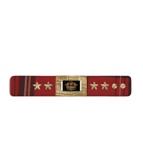 BRACER V1