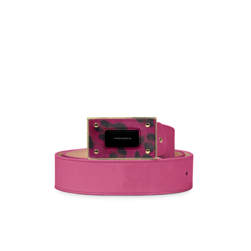BELT V1