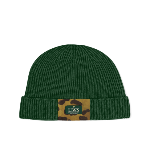 CAP V1
