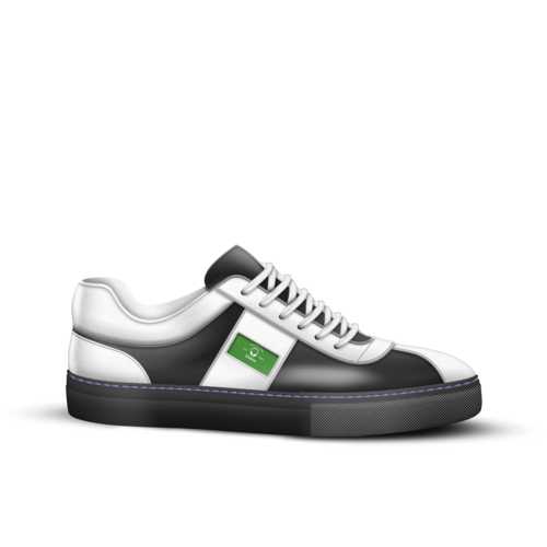 dsiparan Dsins Disana Silk Liners