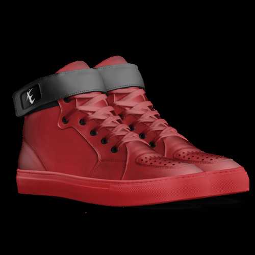 EBS A Custom Shoe concept by Sasha P