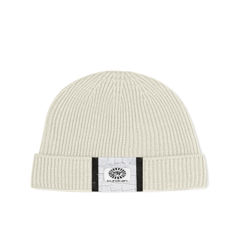 CAP V1