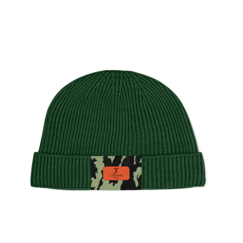 CAP V1