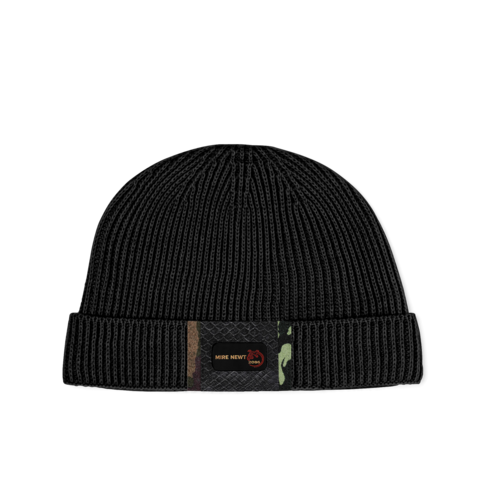 CAP V1