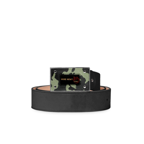 BELT V1
