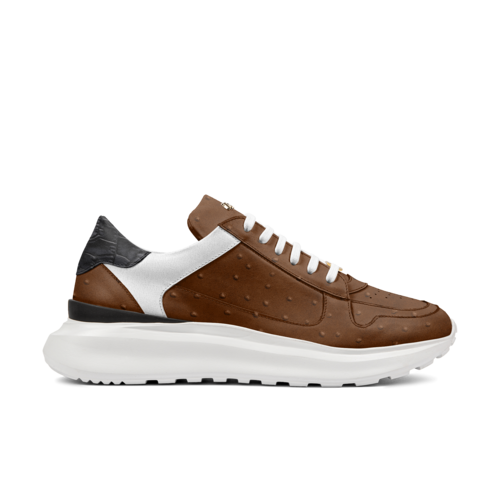 MONEYATTI XL