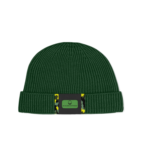 CAP V1