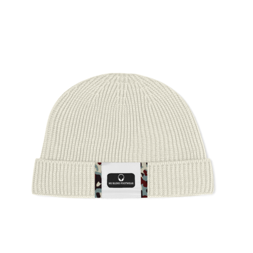 CAP V1
