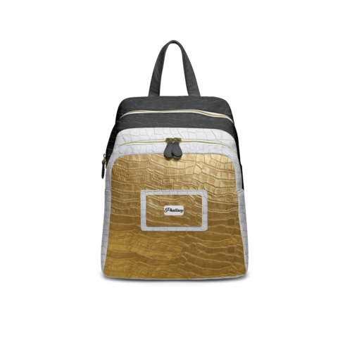 BAG V2