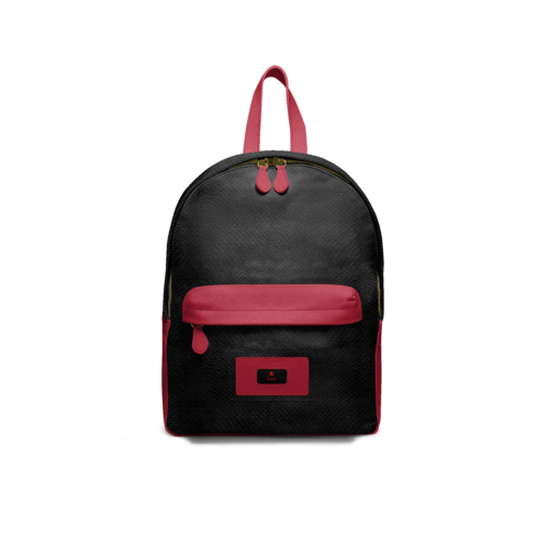 BAG V1