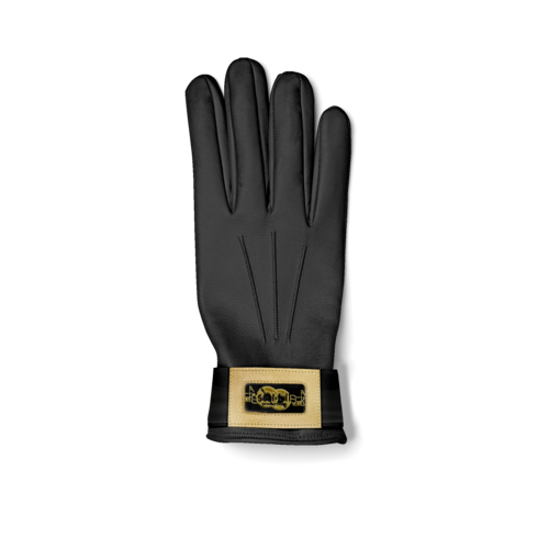GLOVE V1