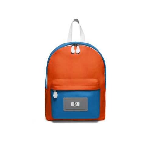 BAG V1