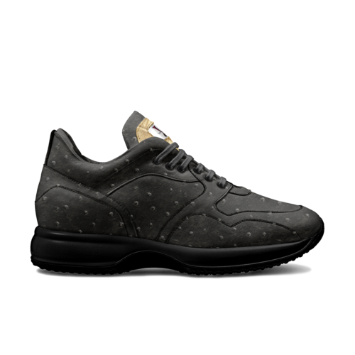 CONFORT 02